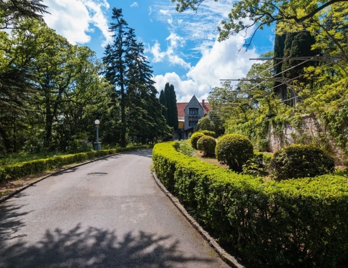 Санаторий «Днепр» Гаспра